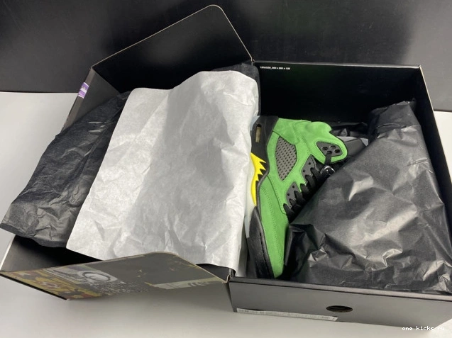 Rep Onekick 5 CK6631-307 Air Jordan SE Oregon Ducks 0607